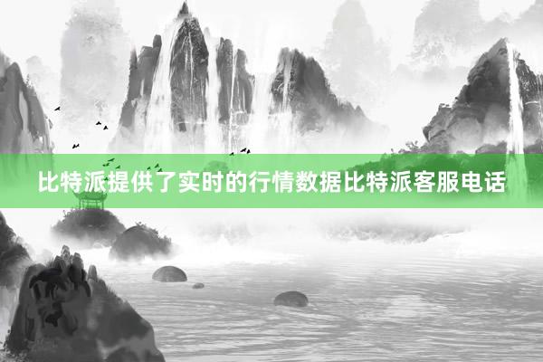 比特派提供了实时的行情数据比特派客服电话