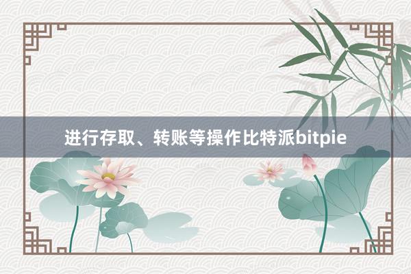 进行存取、转账等操作比特派bitpie