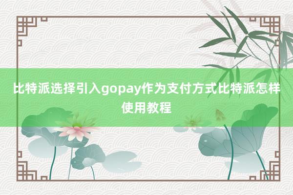 比特派选择引入gopay作为支付方式比特派怎样使用教程