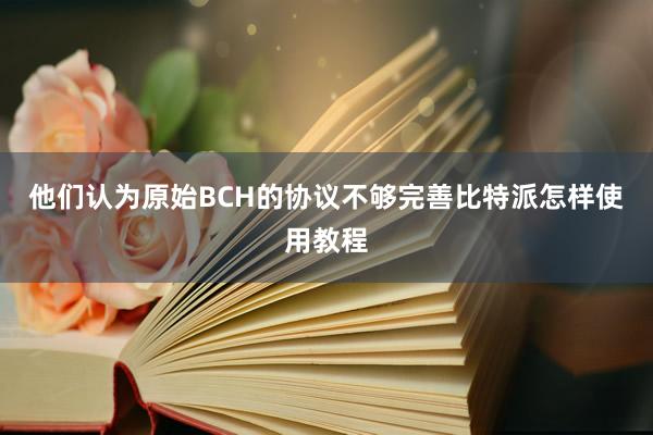 他们认为原始BCH的协议不够完善比特派怎样使用教程