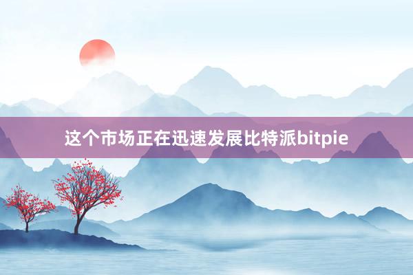 这个市场正在迅速发展比特派bitpie