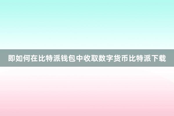 即如何在比特派钱包中收取数字货币比特派下载