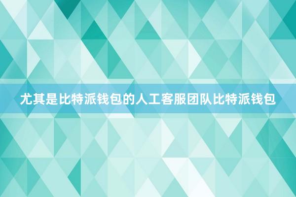 尤其是比特派钱包的人工客服团队比特派钱包