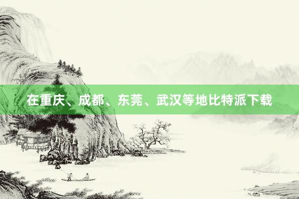 在重庆、成都、东莞、武汉等地比特派下载