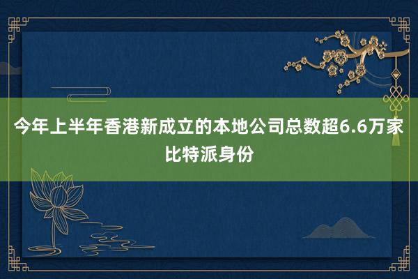 今年上半年香港新成立的本地公司总数超6.6万家比特派身份