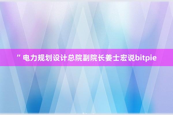 ”电力规划设计总院副院长姜士宏说bitpie