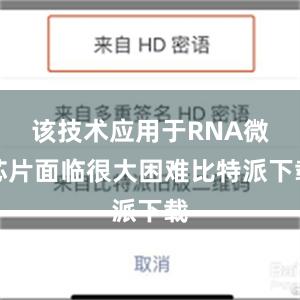 该技术应用于RNA微芯片面临很大困难比特派下载