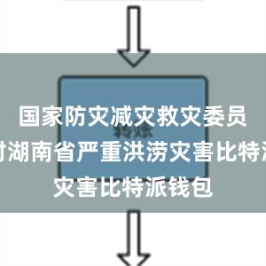 国家防灾减灾救灾委员会针对湖南省严重洪涝灾害比特派钱包